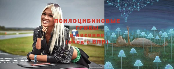 бутират Алексин