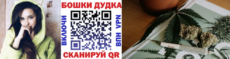 Конопля планчик Новоаннинский